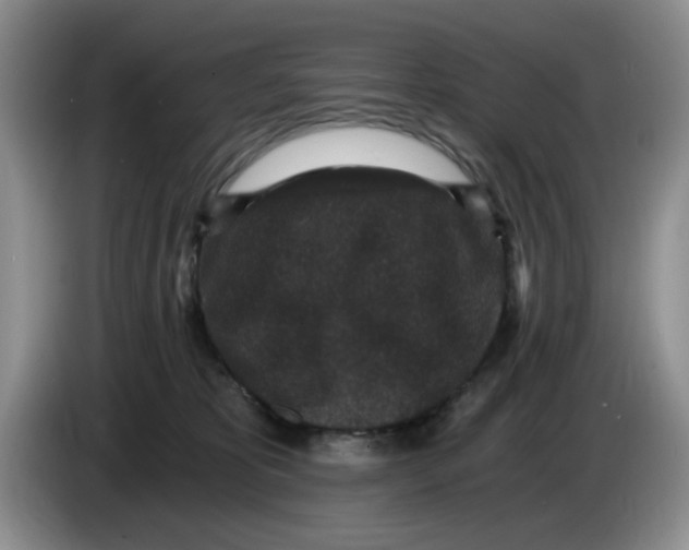 X0000084040325200703092037