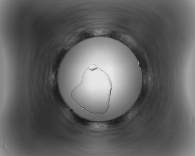 X0000084040327200703092037