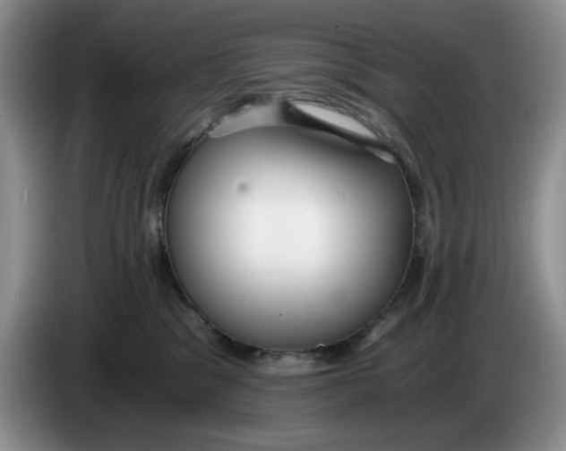 X0000084040329200703092037