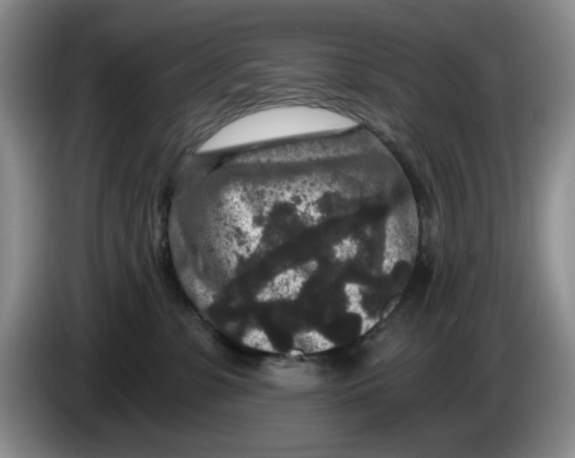 X0000084040331200703092037