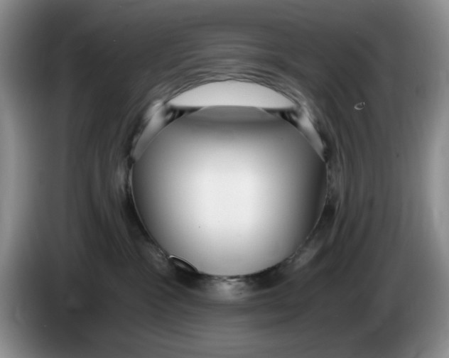 X0000084040333200703092037