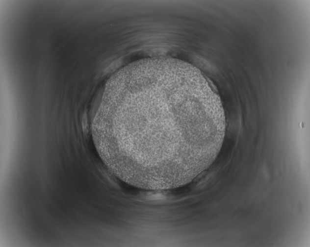 X0000084040335200703092037