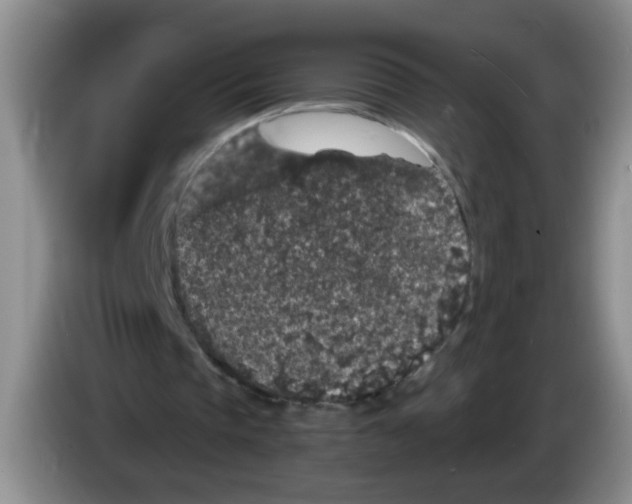 X0000084040337200703092036