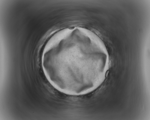 X0000084040339200703092036