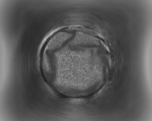 X0000084040342200703092036