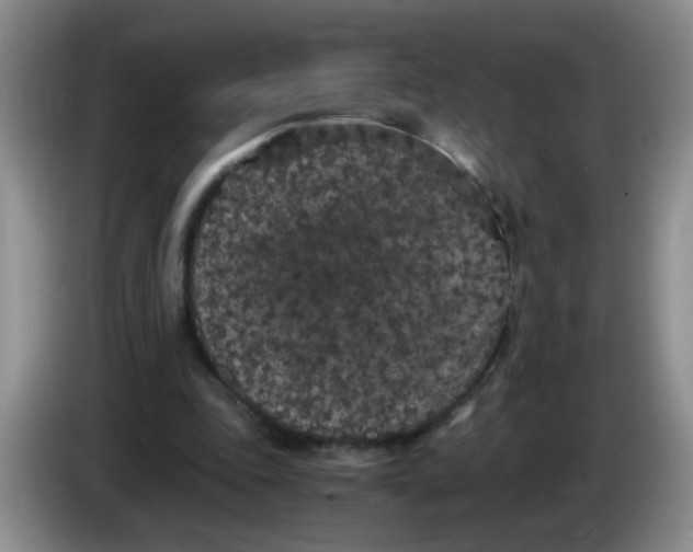 X0000084040343200703092036