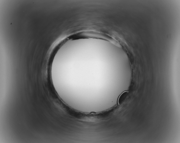 X0000084040344200703092036