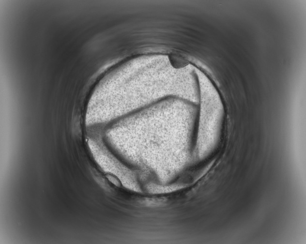 X0000084040345200703092036