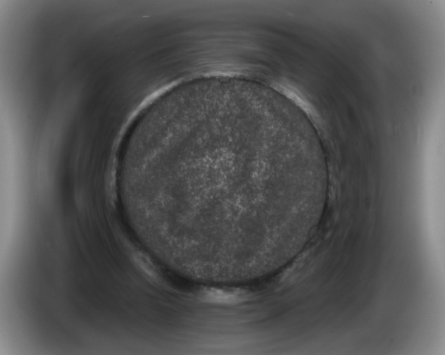 X0000084040346200703092036