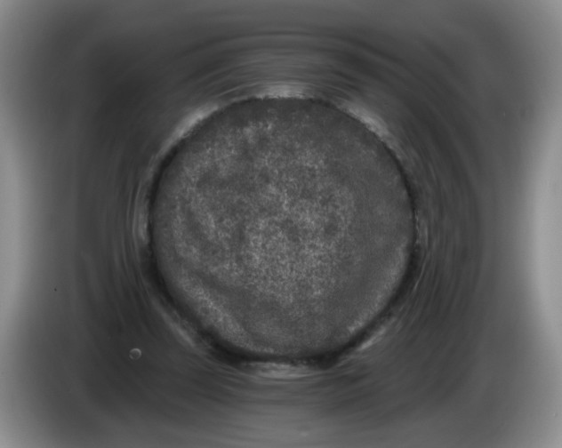 X0000084040347200703092036