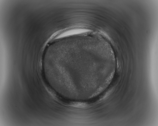 X0000084040348200703092036