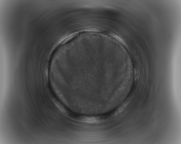 X0000084040349200703092036