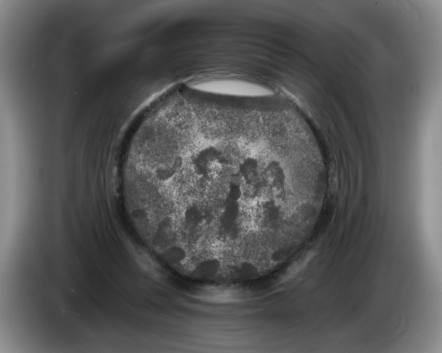 X0000084040351200703092036