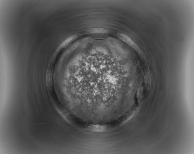 X0000084040352200703092036