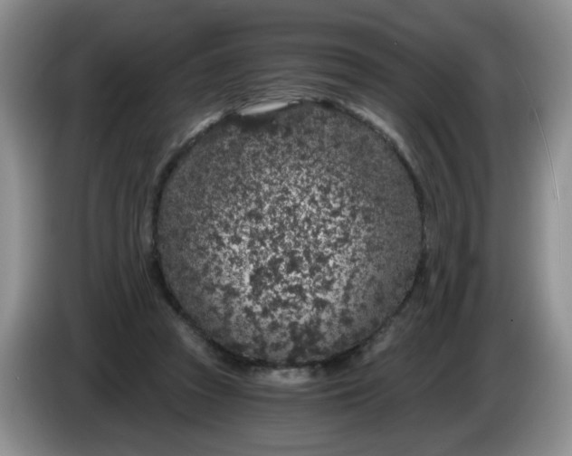 X0000084040353200703092036