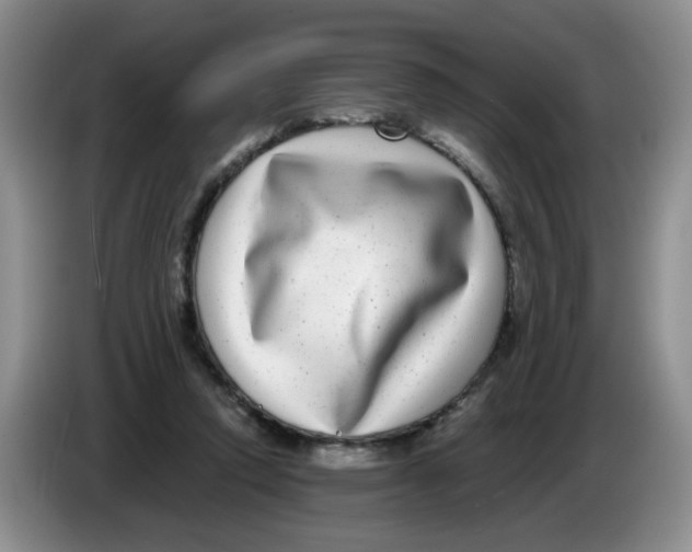 X0000084040354200703092036