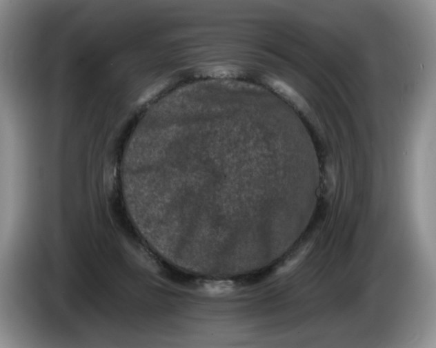 X0000084040355200703092036