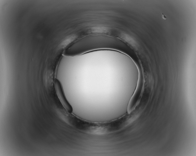 X0000084040356200703092036