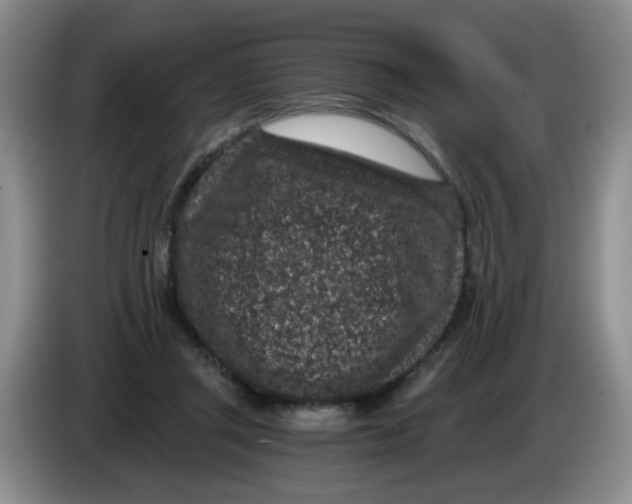 X0000084040357200703092036