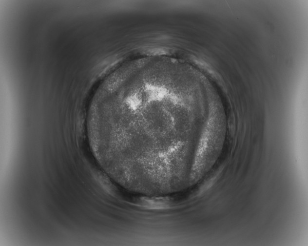 X0000084040359200703092036