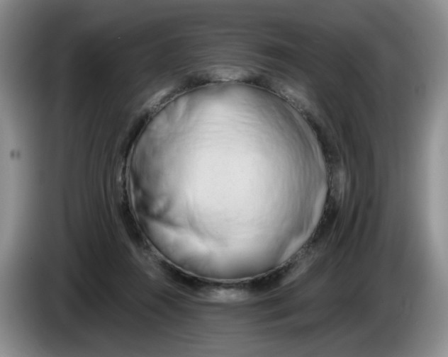 X0000084040360200703092036