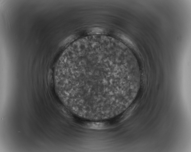 X0000084040361200703092036