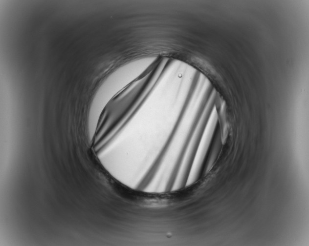 X0000084040362200703092036