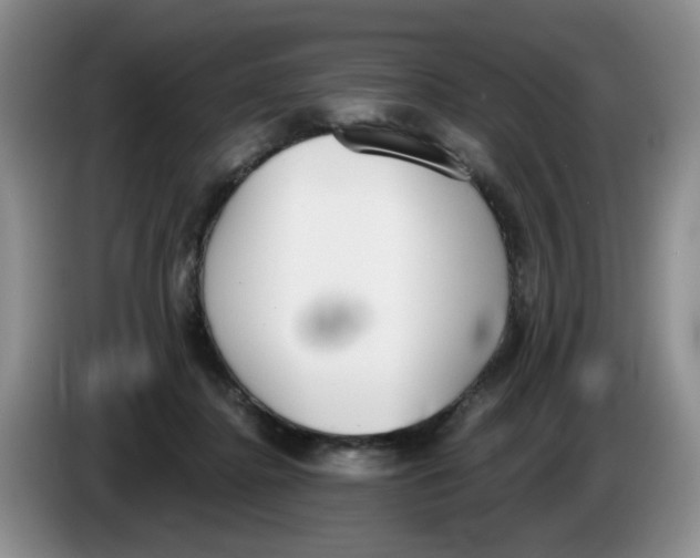 X0000084040364200703092036