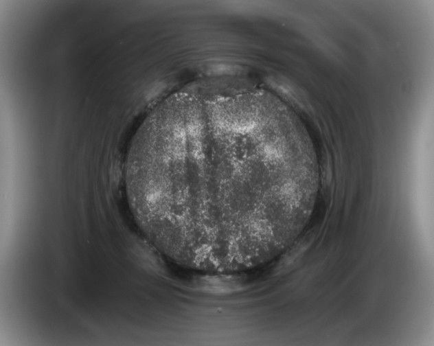 X0000084040367200703092036