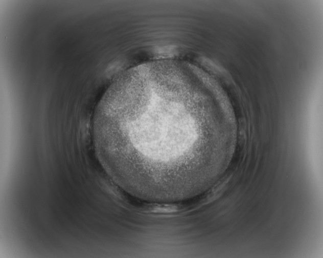 X0000084040369200703092036