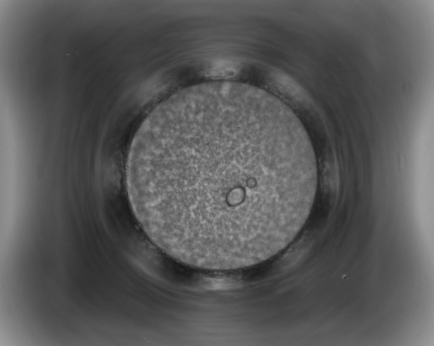 X0000084040370200703092036