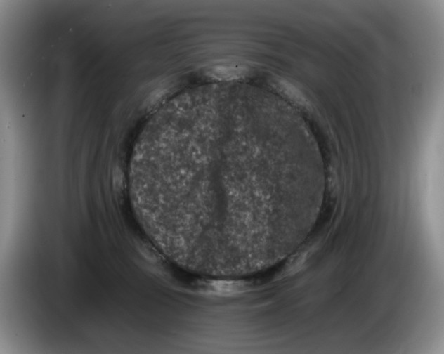 X0000084040371200703092036