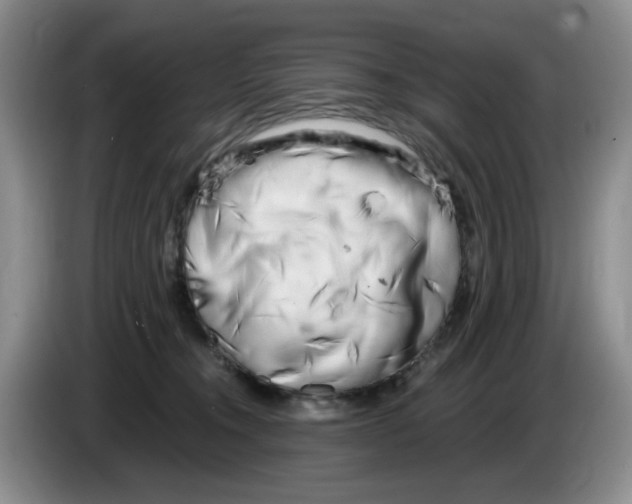 X0000084040372200703092036