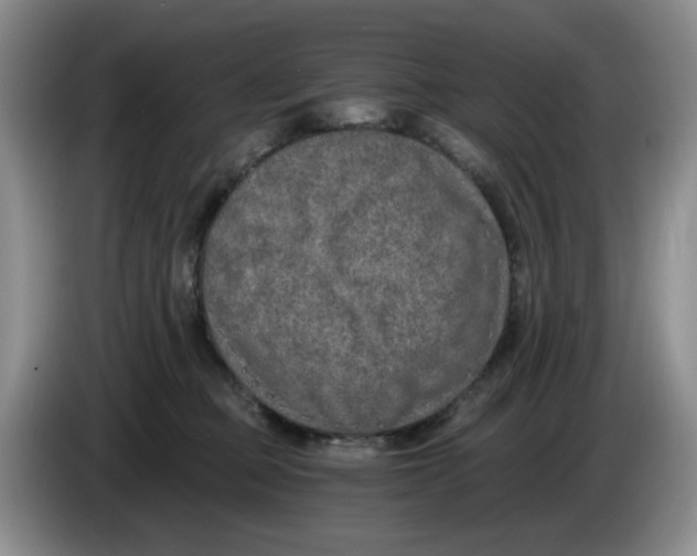 X0000084040373200703092036