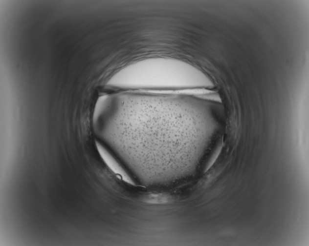 X0000084040376200703092036