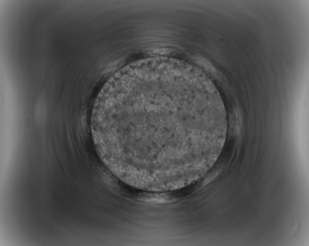 X0000084040377200703092036