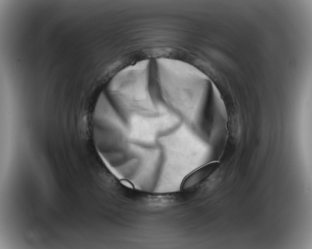 X0000084040378200703092036