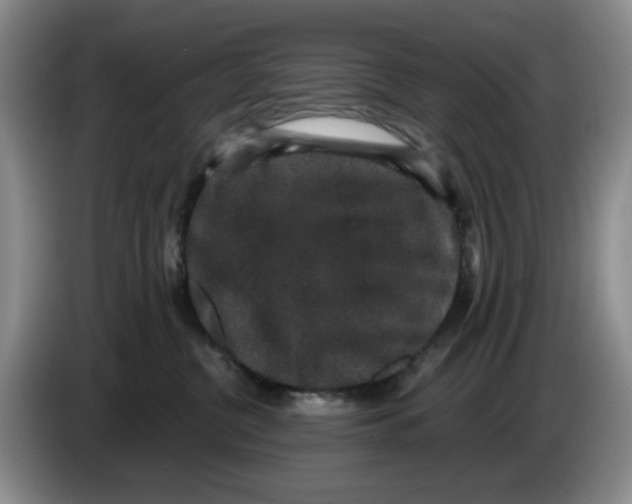 X0000084040380200703092036