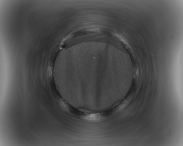 X0000084040382200703092036