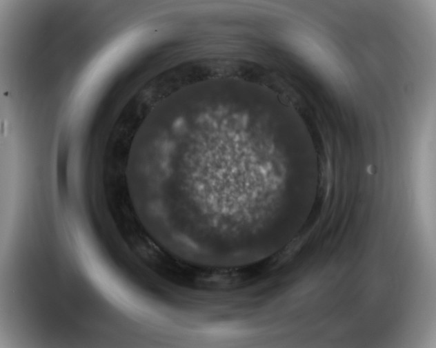 X0000084040383200703092036