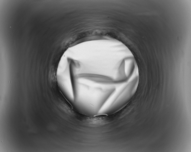 X0000084040384200703092036