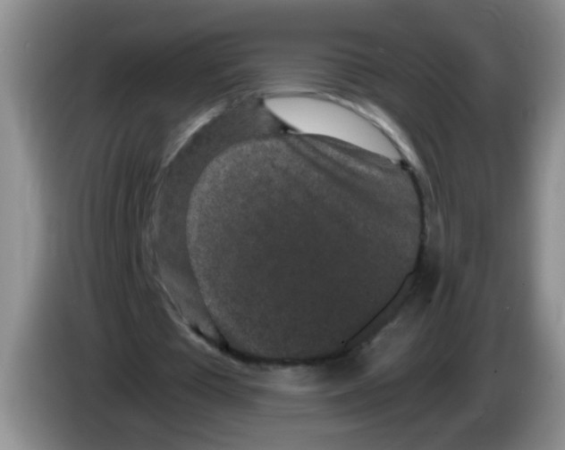 X0000084040385200703092036