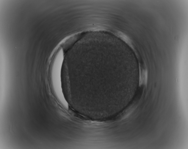 X0000084040387200703092036