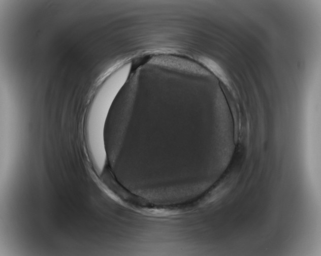 X0000084040389200703092036