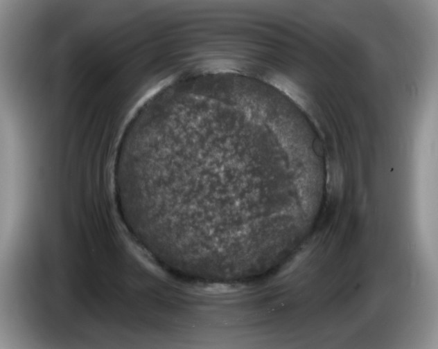 X0000084040390200703092036