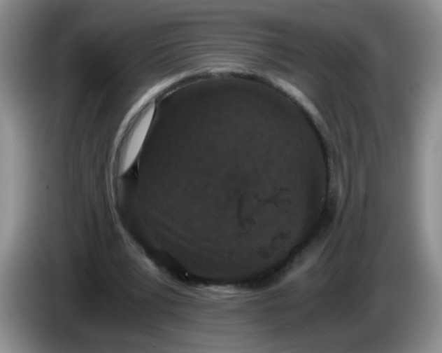 X0000084040391200703092036