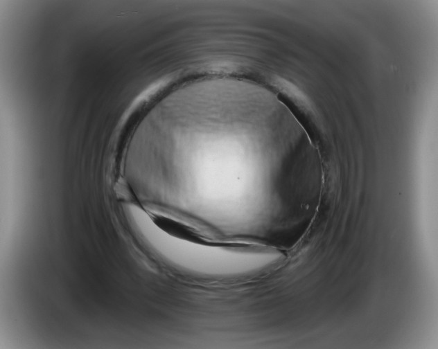 X0000084040392200703092036