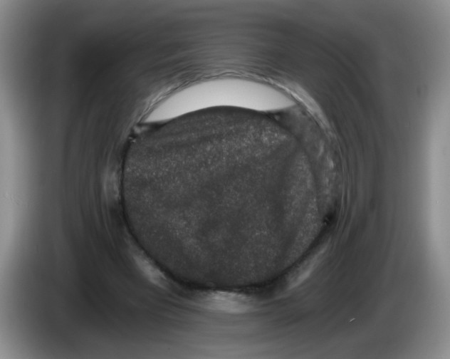 X0000084040393200703092036