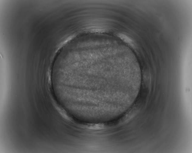 X0000084040398200703092036