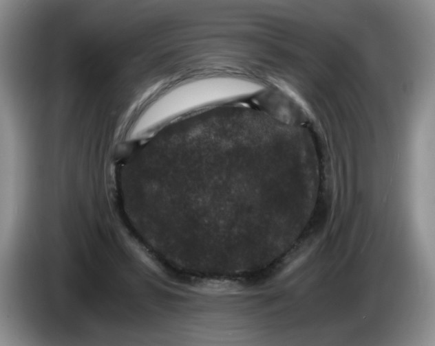 X0000084040399200703092036